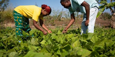 Climate-Smart Agriculture