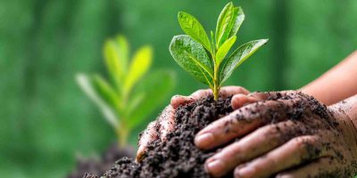 Environmental Conservation