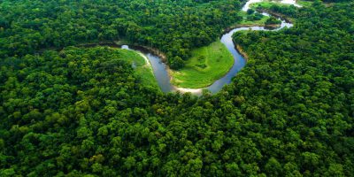 Forest Monitoring and Assessments NGO