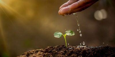Natural Resource Management