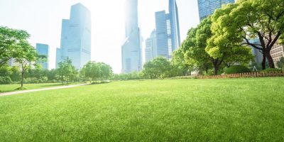 Urban Forestry and Green Spaces NGO